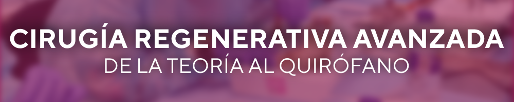 ¿Por qué elegir cursos prácticos en grupos reducidos mejora tu curva de aprendizaje? 1 cursos prácticos en grupos reducidos